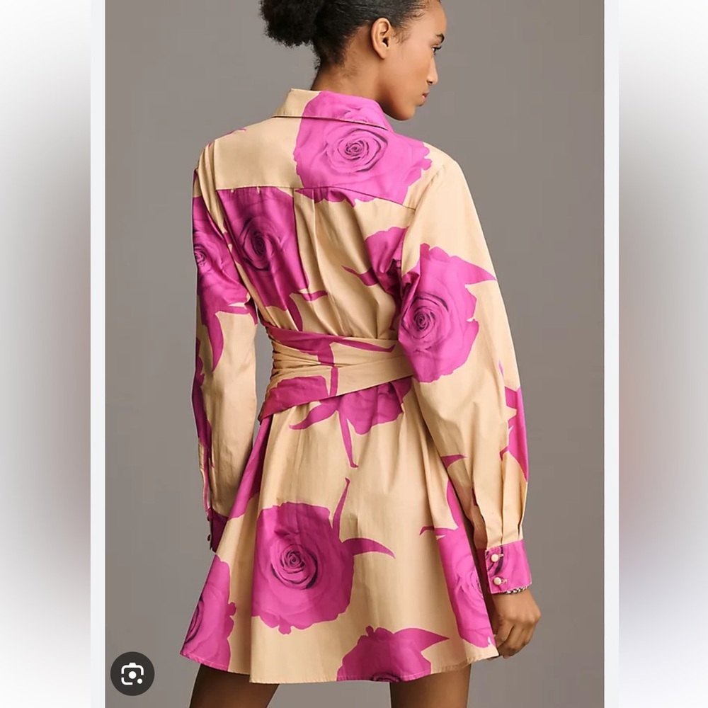 Hutch Pink and Tan Long Sleeve Dress - Picture 2 of 6